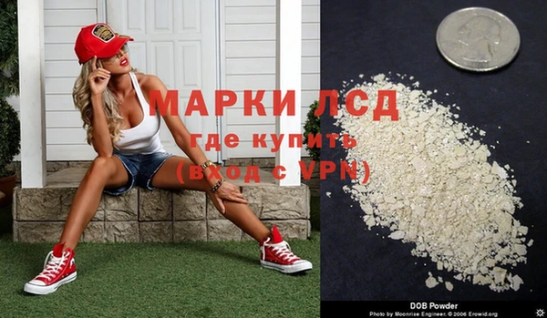 стафф Аркадак