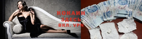 стафф Аркадак
