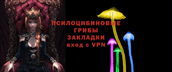 тгк Арсеньев