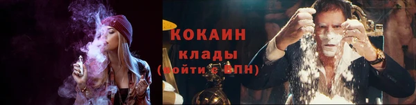 стафф Аркадак
