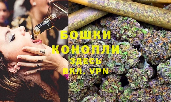 стафф Аркадак