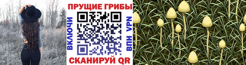 Галлюциногенные грибы GOLDEN TEACHER  гидра зеркало  Тейково  наркотики 